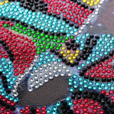 Cat With Moon And Stars In Night