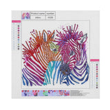 Amazing Colorful Zebra