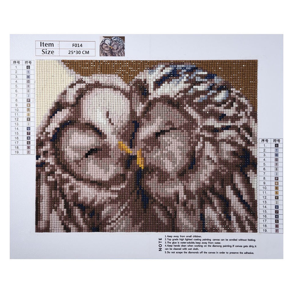 Two Cute Owls