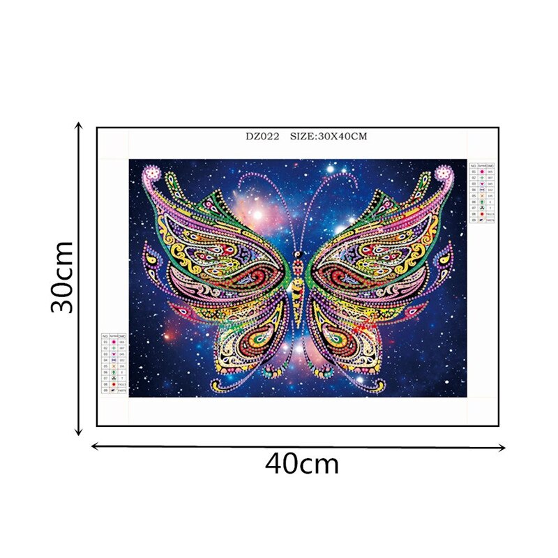 Butterfly With Stars In Night