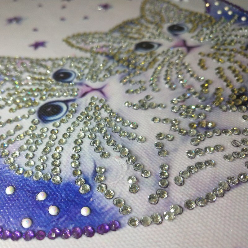 Two Cute Cats On Moon