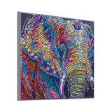 Elephant Multi Color Painting