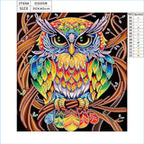 Amazing Color Art Owl