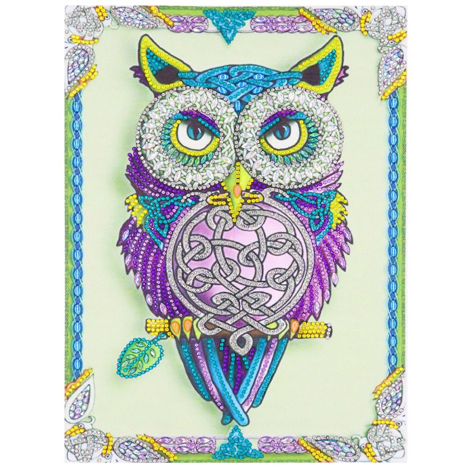 Cute Colorful Owl