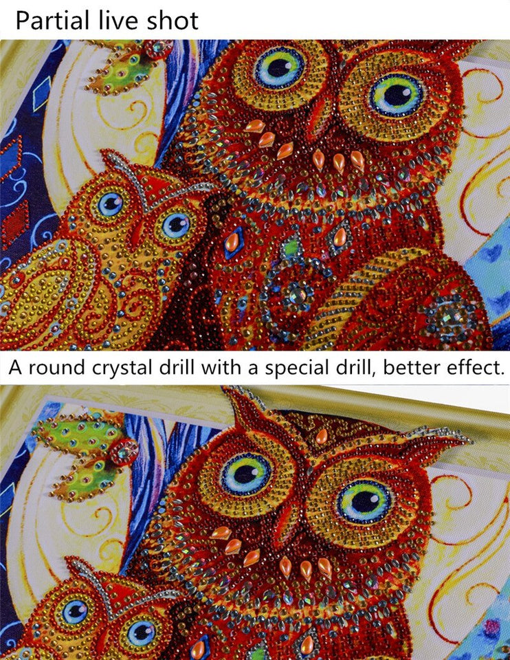 Two Colorful Owls On Tree