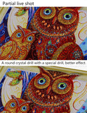 Two Colorful Owls On Tree