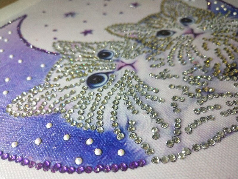 Small Cute Cats On Moon