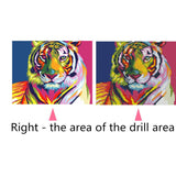 Colorful Tiger