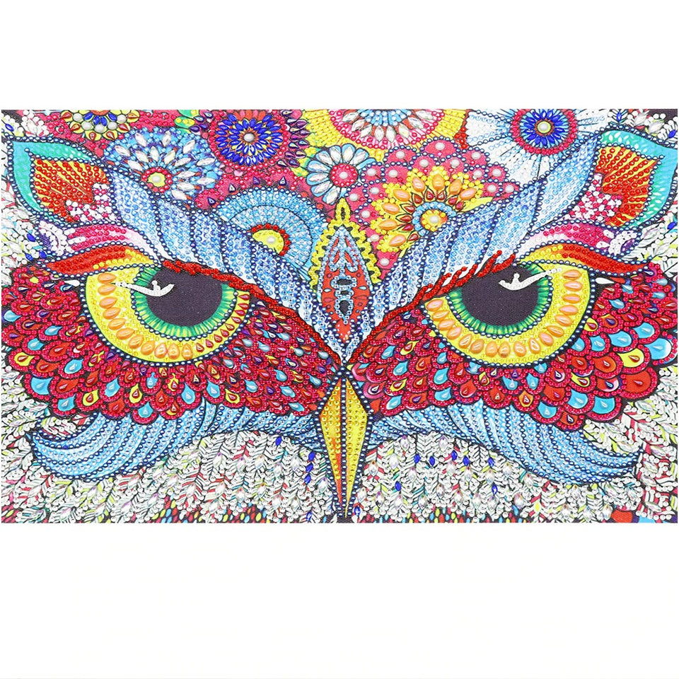 Colorful Owl Eyes