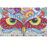 Colorful Owl Eyes