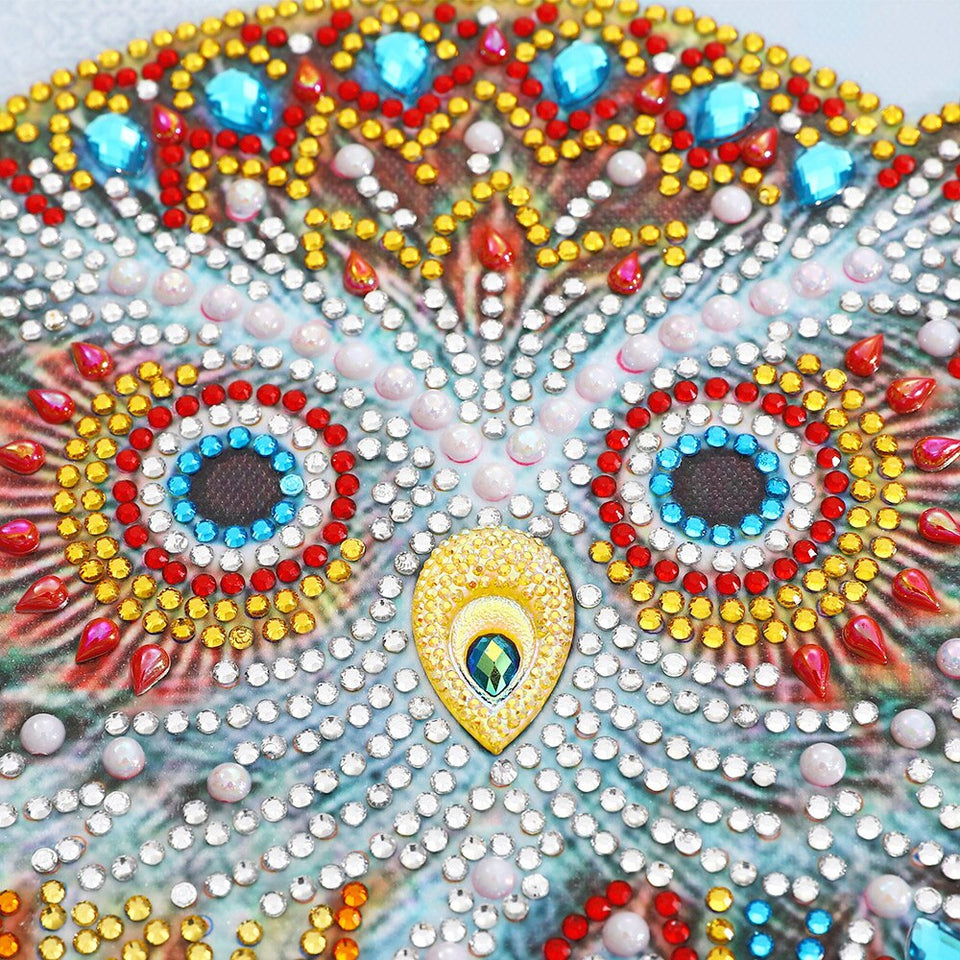 Multi color Owl Painting