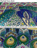 Peacock Special Painting