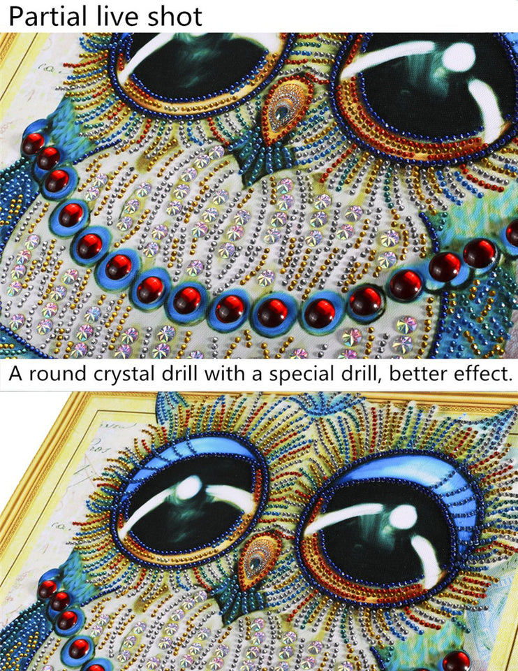 Cute Owl With Big Eyes