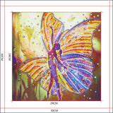 Lovely Colorful Butterfly