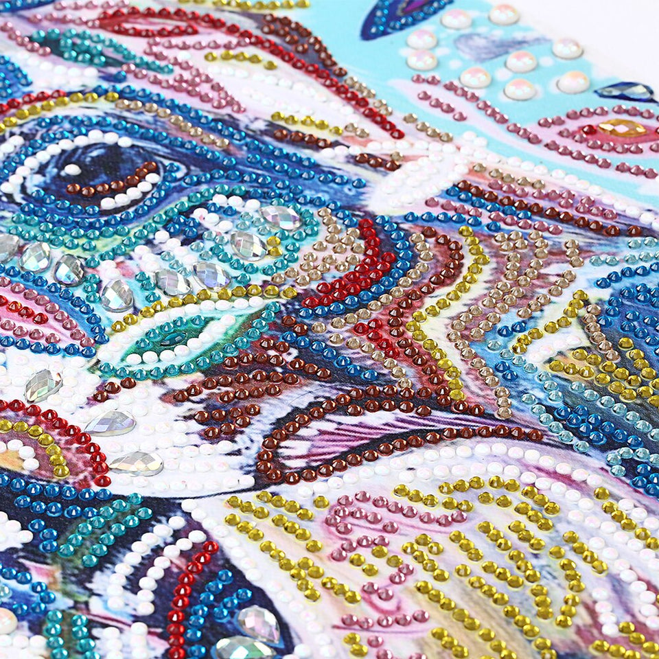 Multi Color Horse Head