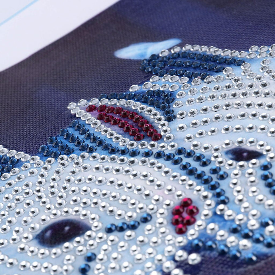 Two White Rabbits In Night