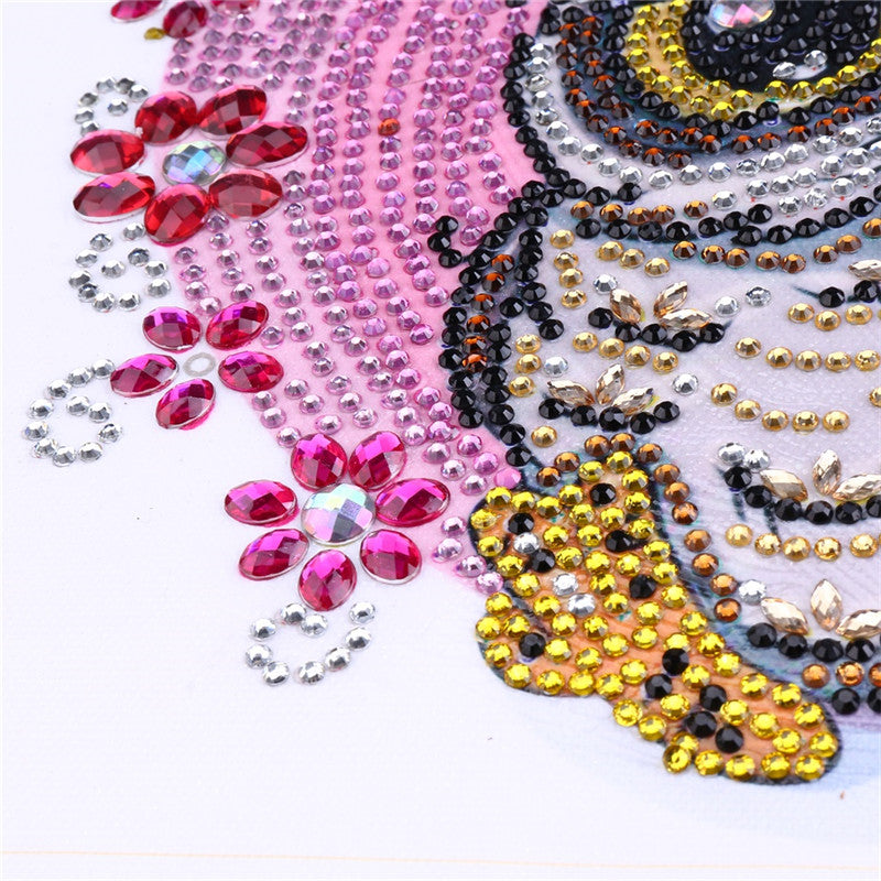 Cute Small Colorful Owl With Butterfly