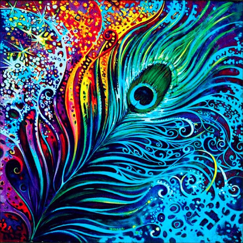 Colorful Peacock Feather