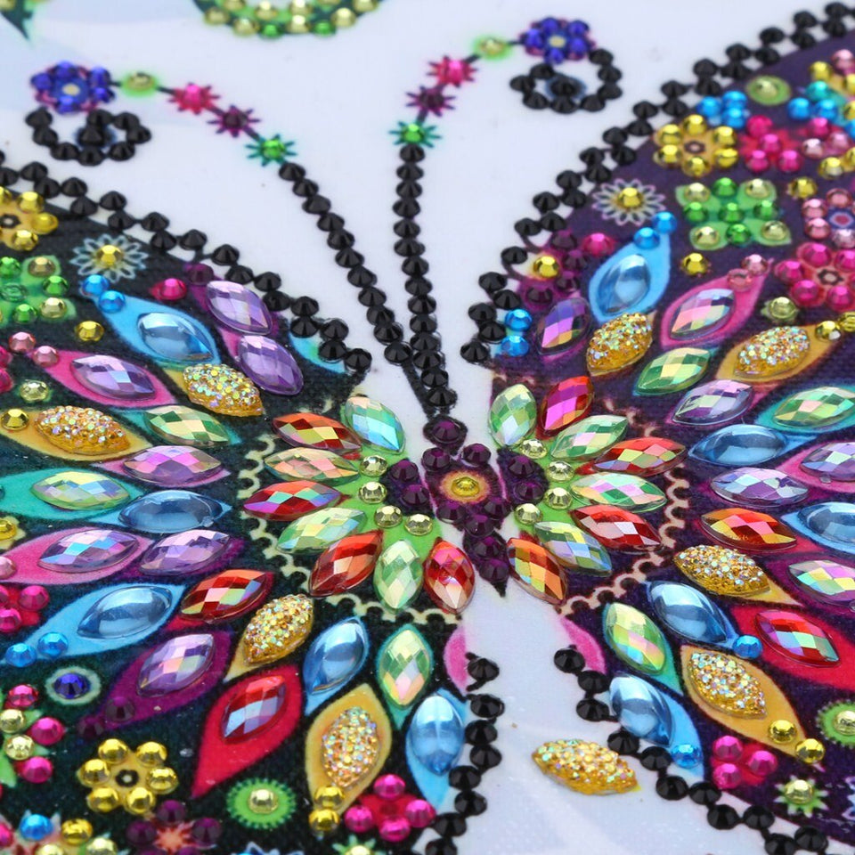 Cute Multi Color Butterfly