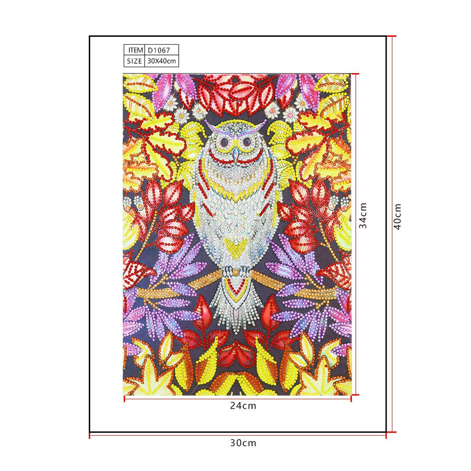 Flower With Owl Colorful
