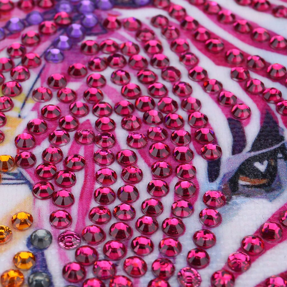 Amazing Colorful Zebra