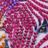 Amazing Colorful Zebra