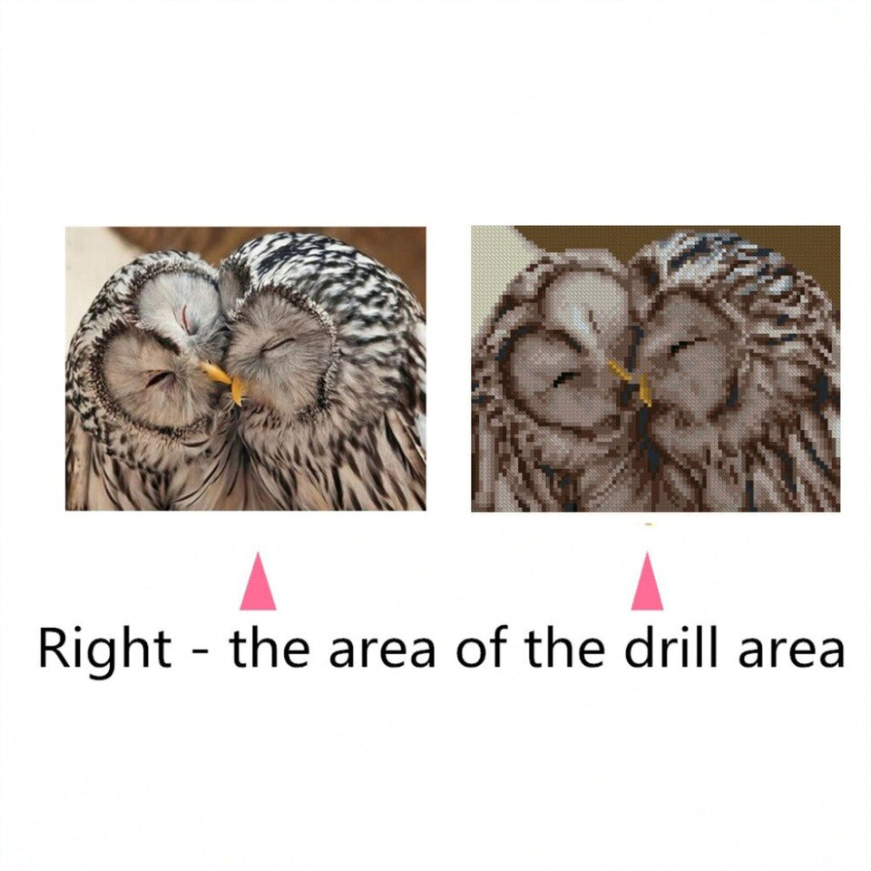 Two Cute Owls