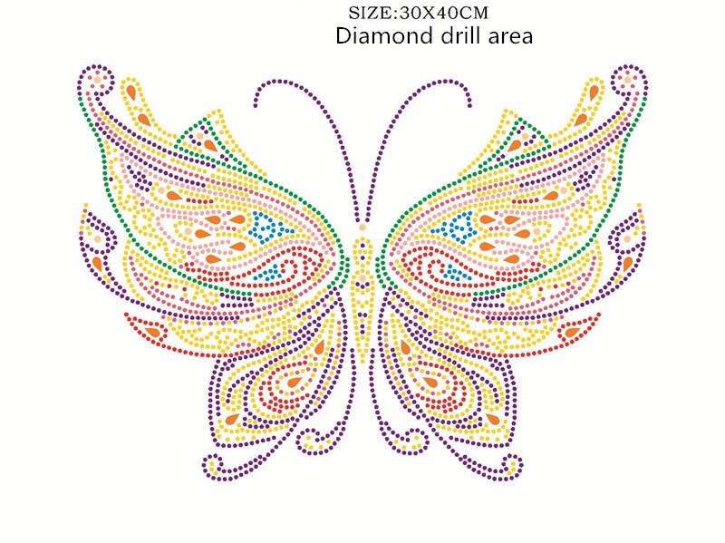 Butterfly With Stars In Night