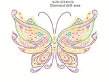 Butterfly With Stars In Night