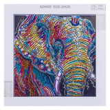 Elephant Multi Color Painting