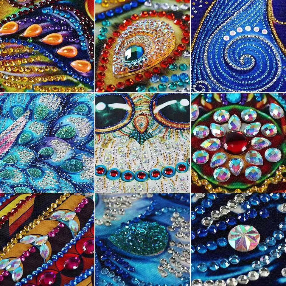 Amazing Color Art Owl