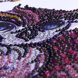Owl Beautiful Painting