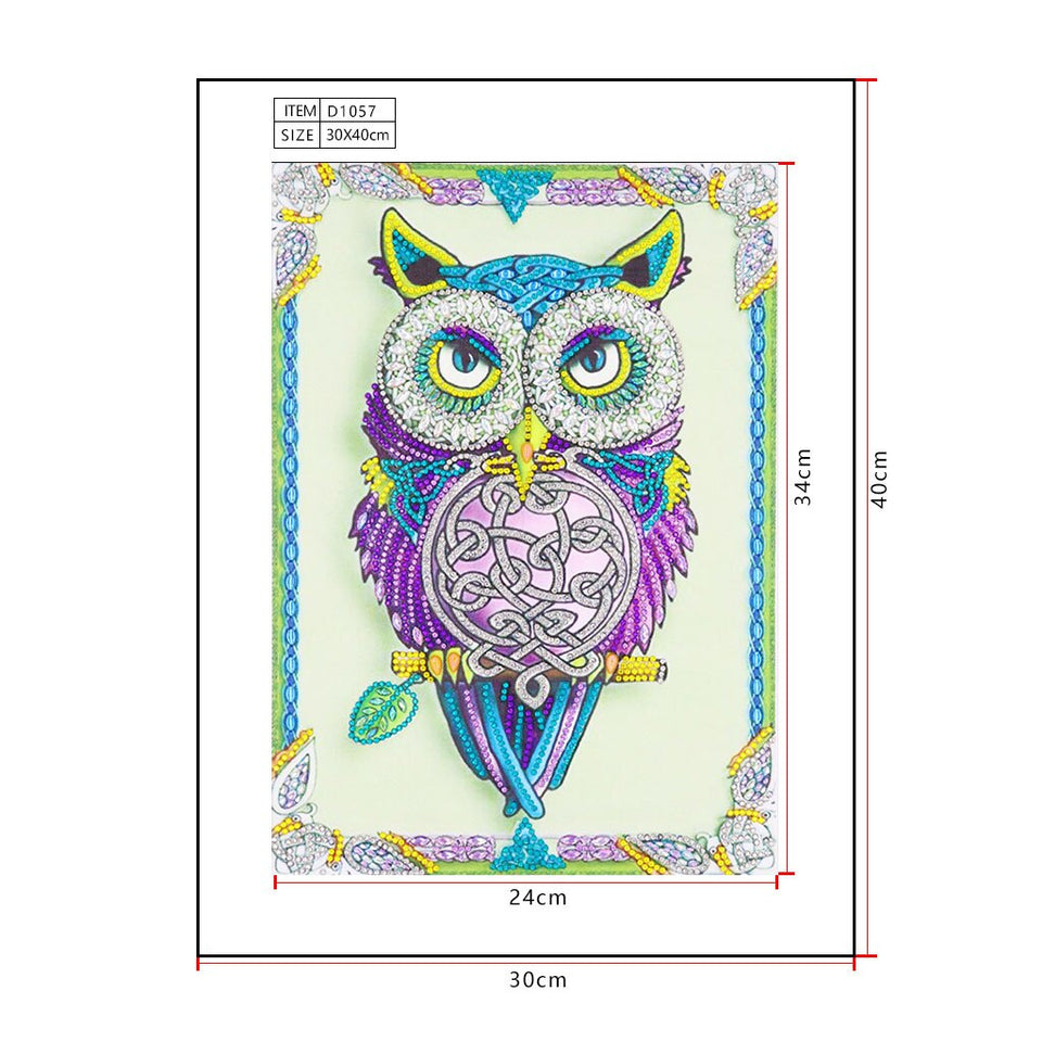 Cute Colorful Owl