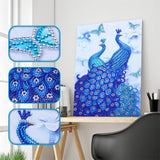 Two Beautiful Blue Peacocks