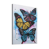 Three Colorful Butterfly