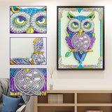Cute Colorful Owl