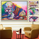Colorful Bulldog