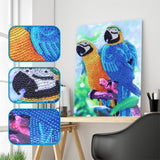 Two Beautiful Parrots