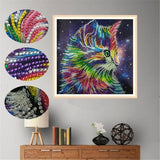 Cat In Multi color With Stars