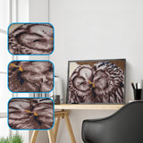 Two Cute Owls