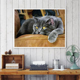 Cat On Couch Special Diamond Painting