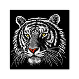 Black And White Tiger Special Diamond Painting