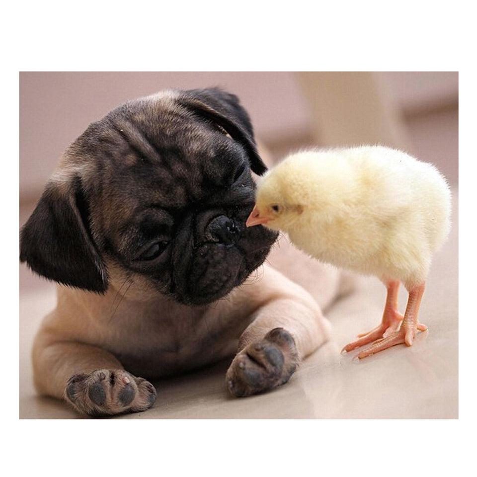 Cute Dog And Chick Special Diamond Painting