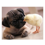 Cute Dog And Chick Special Diamond Painting