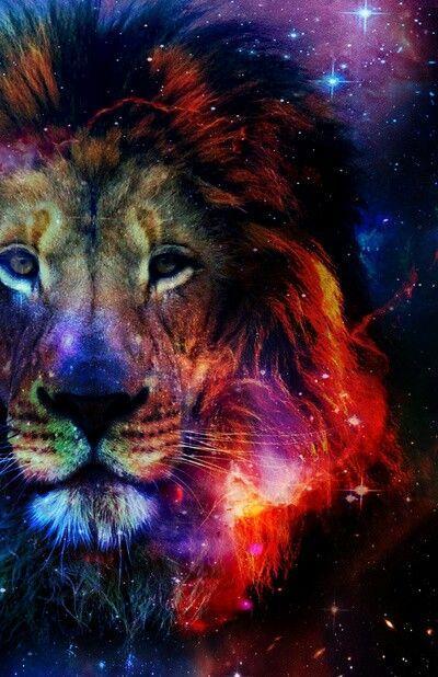 Lion in Galaxy Art - DIY Diamond Painting - diamond-painting-bliss.myshopify.com