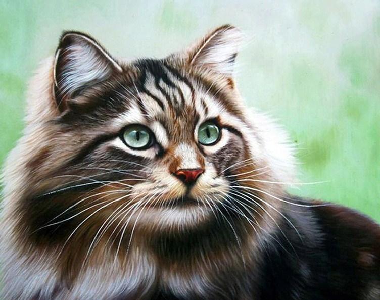 Adorable Cat - diamond-painting-bliss.myshopify.com