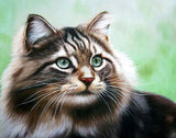 Adorable Cat - diamond-painting-bliss.myshopify.com