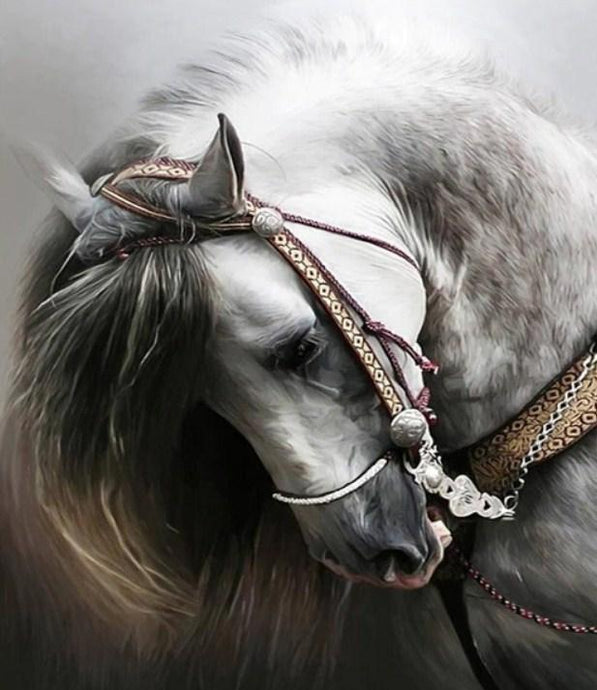 Adorable Horse - Diamond Painting Kit - diamond-painting-bliss.myshopify.com
