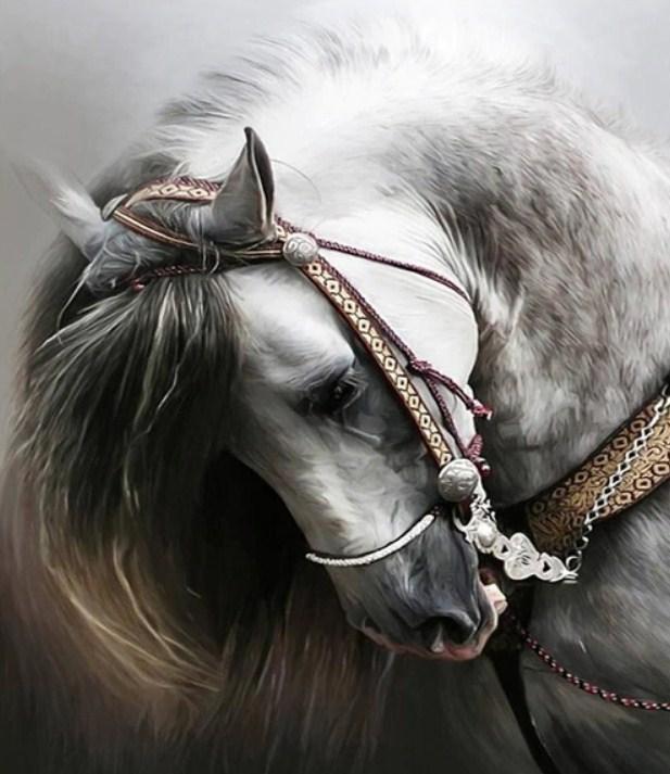 Adorable Horse - Diamond Painting Kit - diamond-painting-bliss.myshopify.com