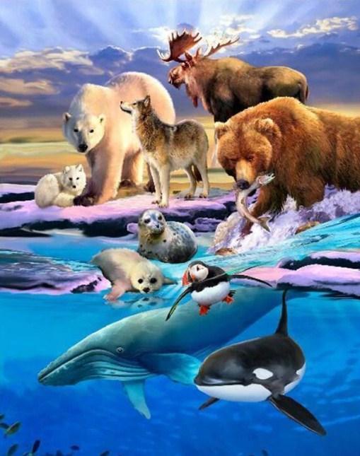 Alaska Animals - Diamond Painting Kit - diamond-painting-bliss.myshopify.com